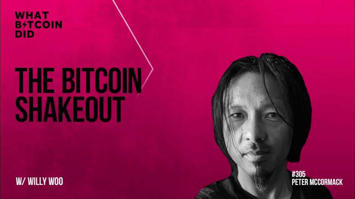 The Bitcoin Shakeout Jan 2021 Trading Update with Willy Woo
